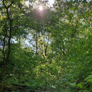 Meet your Posher, Maika